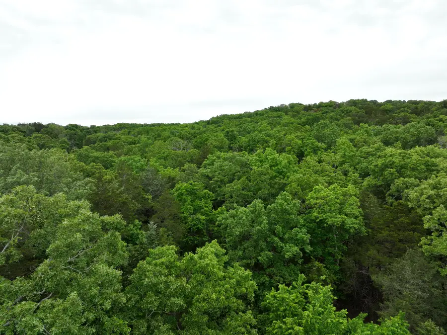 Tbd Windy Heron Lane, Reeds Spring, MO 65737 - #2