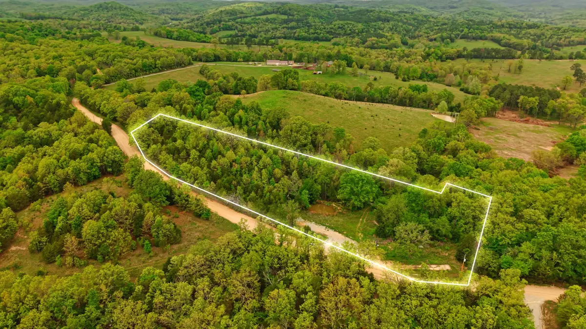 291 County Road 804, Gainesville, MO 65655 - #1