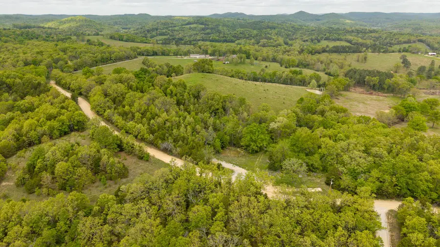 291 County Road 804, Gainesville, MO 65655 - #3