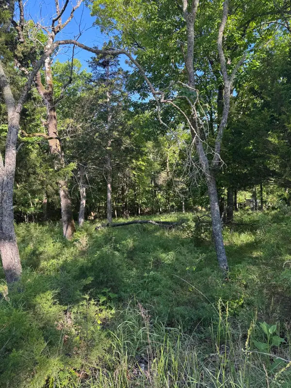 Lot 85 Cliff Drive, Golden, MO 65658