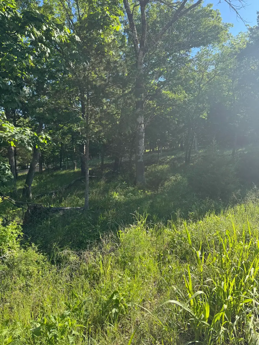 Lot 85 Cliff Drive, Golden, MO 65658 - #3
