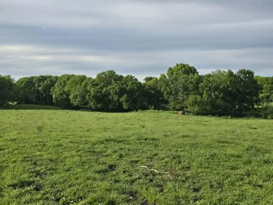 000 State Highway N, Clinton, MO 64735 - #3