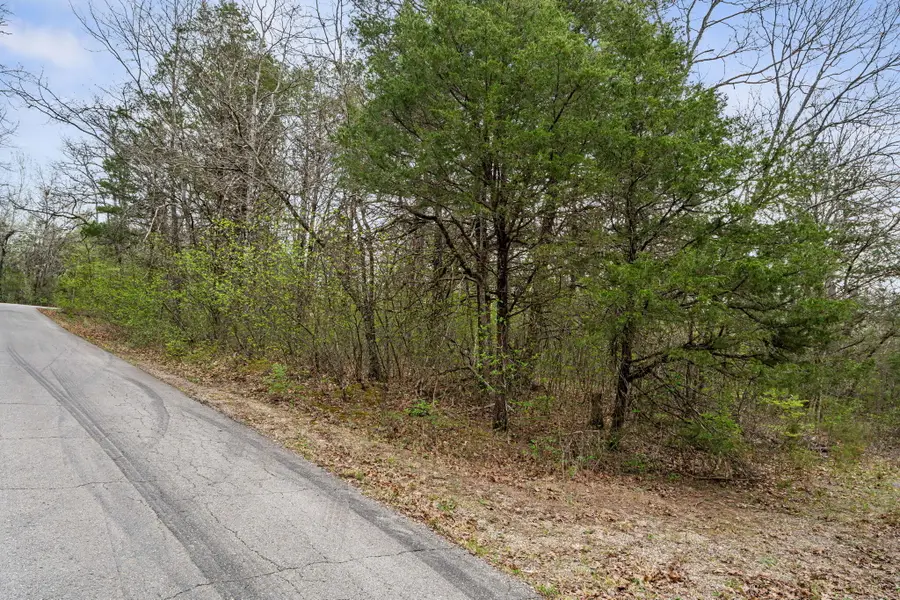 342 & 343 Turkey Mountain Estates, Shell Knob, MO 65747 - #3