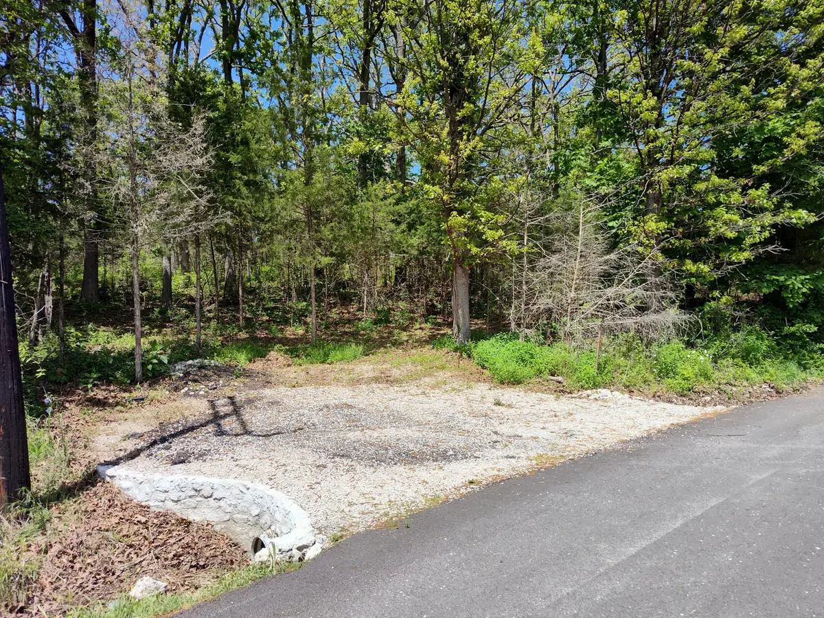 000 Woodland Drive, Buffalo, MO 65622 - #1