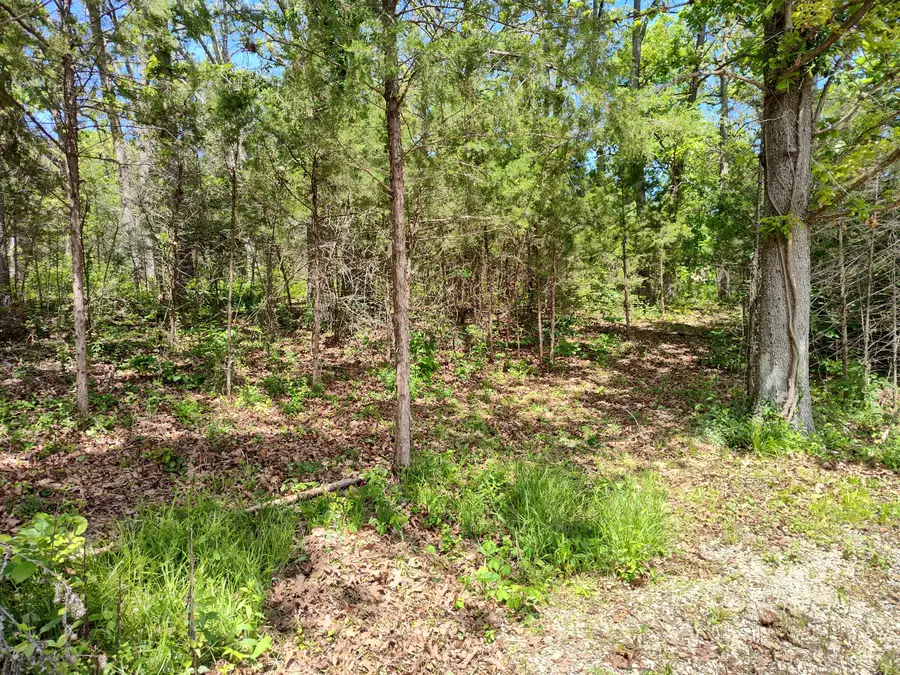 000 Woodland Drive, Buffalo, MO 65622 - #2