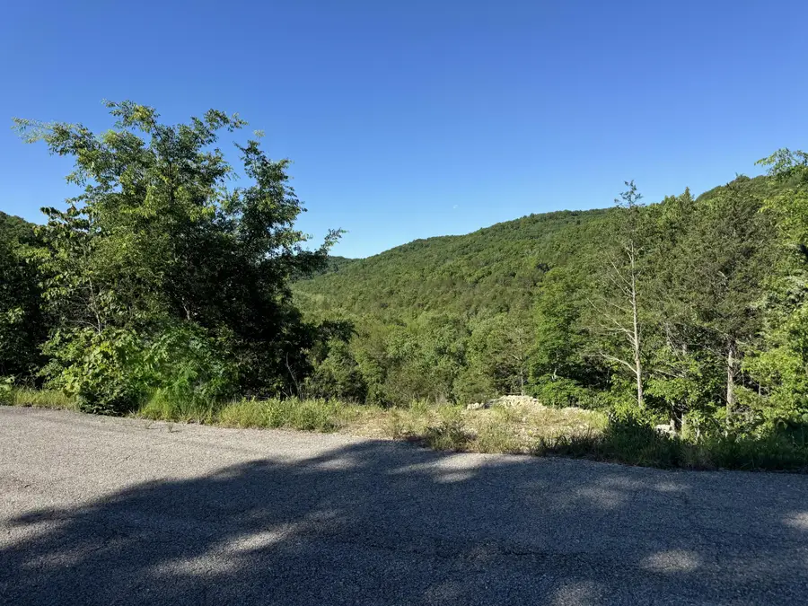 280 Timber Wolf Road #Lot 10, Hollister, MO 65672 - #2