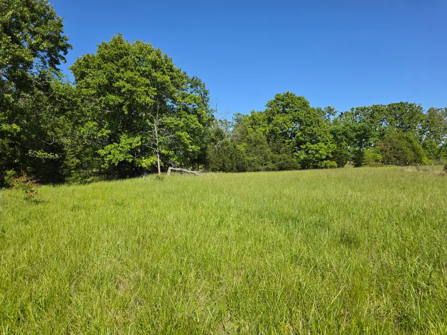 000 W U.s. 160, West Plains, MO 65775 - #3