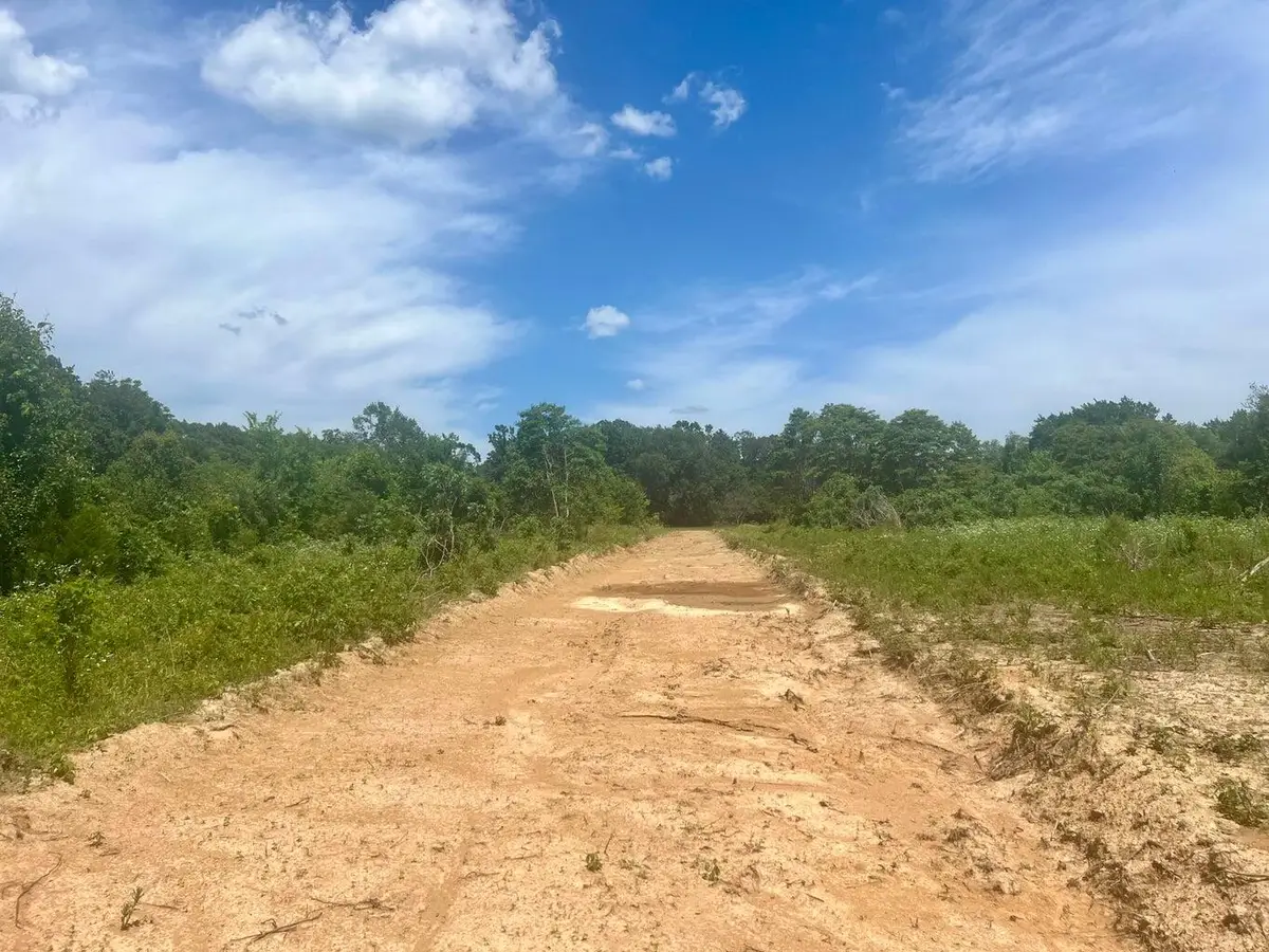 Lot 1 State Highway 112, Cassville, MO 65625 - #1