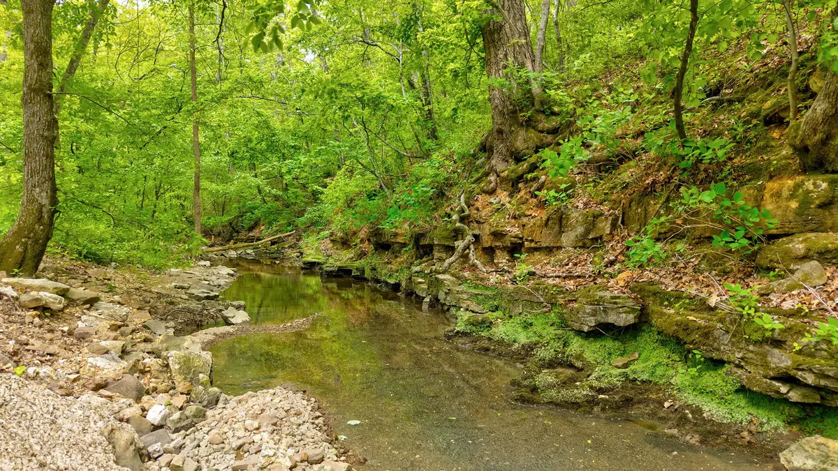 000 Woodland Drive, Hartville, MO 65667 - #1