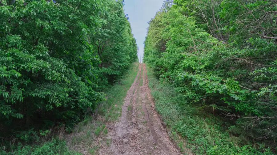 001 S 52nd Road, Dunnegan, MO 65640 - #3