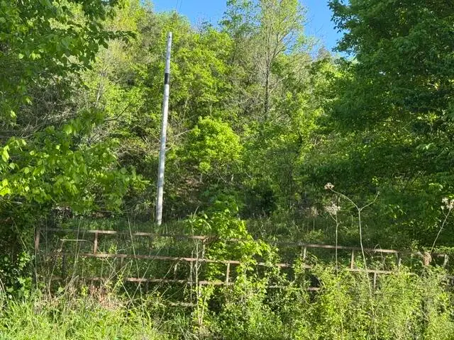 000 Farm Road 2285, Seligman, MO 65745 - #1