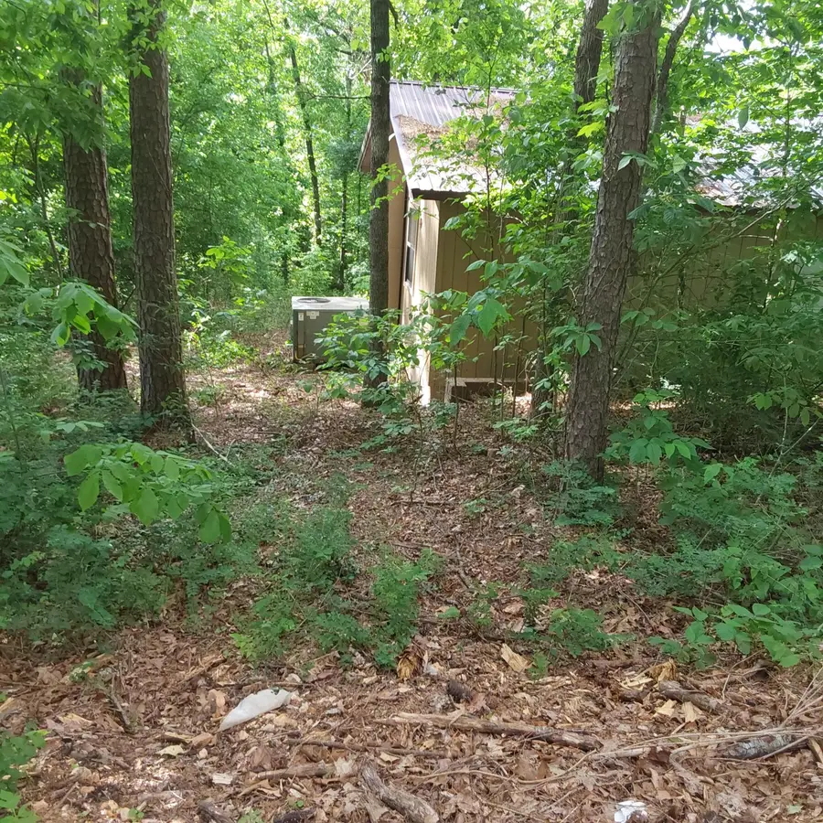 202 Iris Road, Noel, MO 64854 - #3
