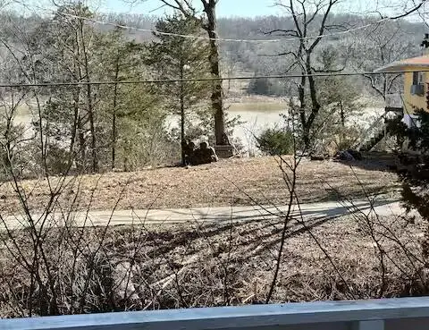 23188 Farm Road 1245, Shell Knob, MO 65747 - #3