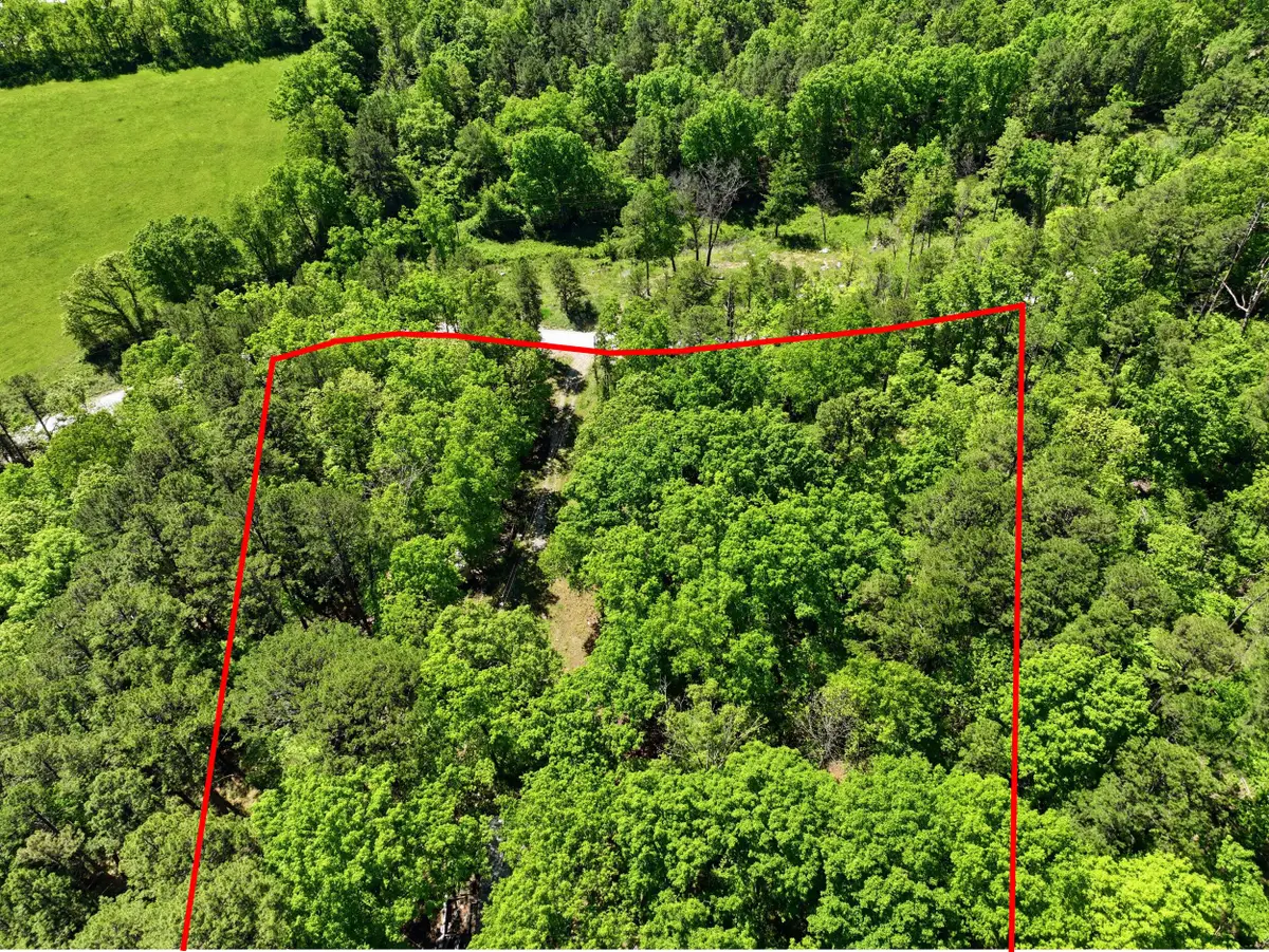 15601 Boiling Springs Road, Licking, MO 65542 - #1