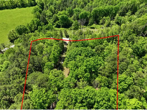 15601 Boiling Springs Road, Licking, MO 65542