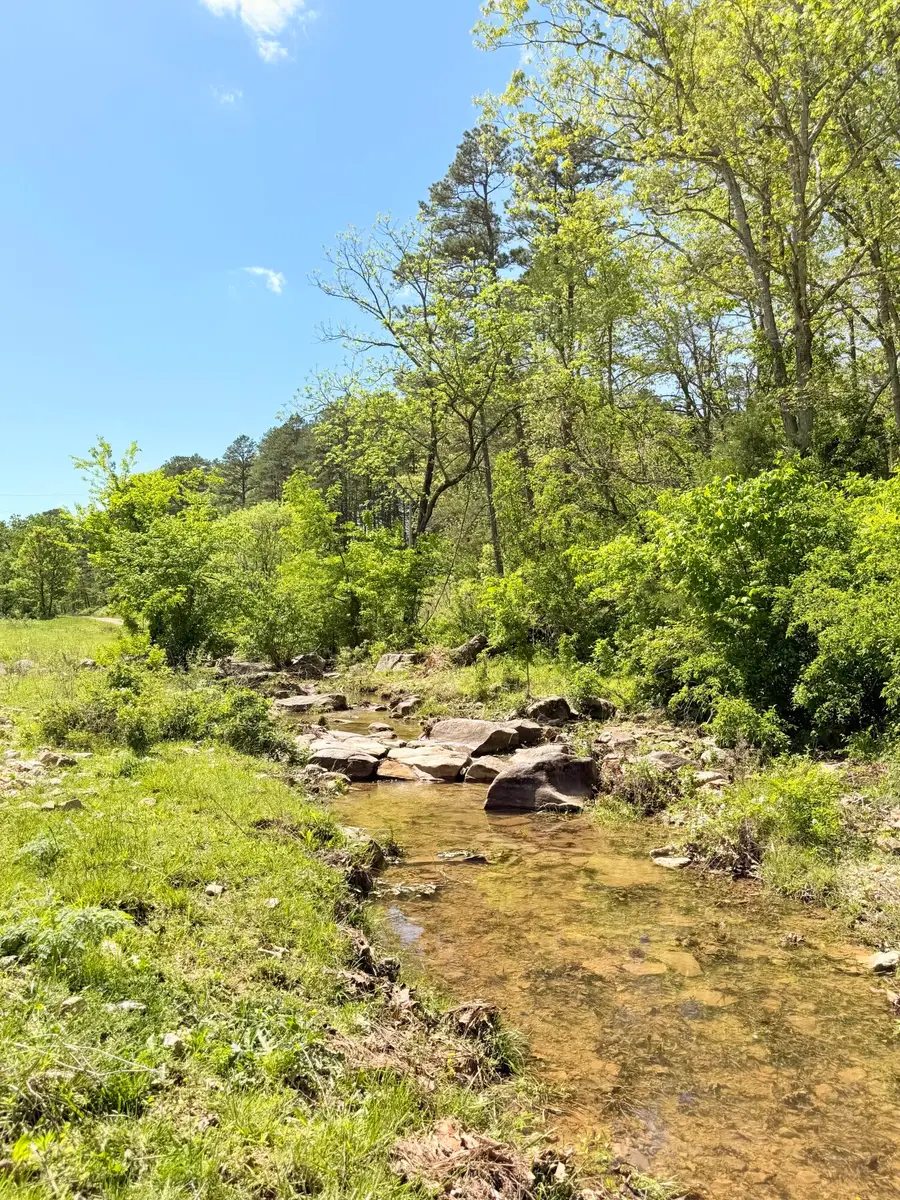 37641 County Road W-260, Vanzant, MO 65768 - #2