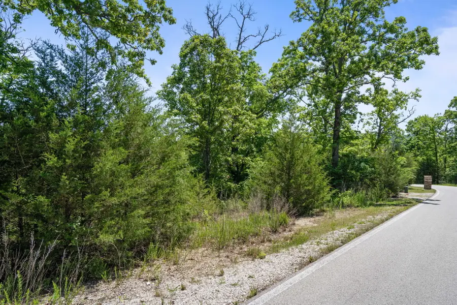 Lot 134 Beechwood Drive, Branson West, MO 65737 - #3