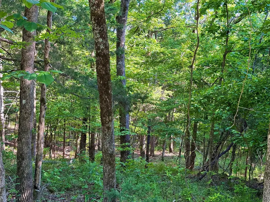 Lots 40 & Cedar Lane, Rockaway Beach, MO 65740 - #3