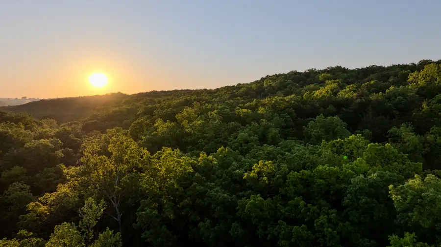 000 County Rd 855, Thornfield, MO 65762 - #3
