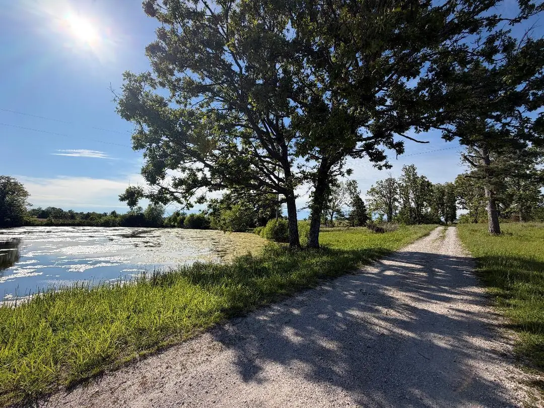 1452 Kaylor Road, Mountain Grove, MO 65711 - #1
