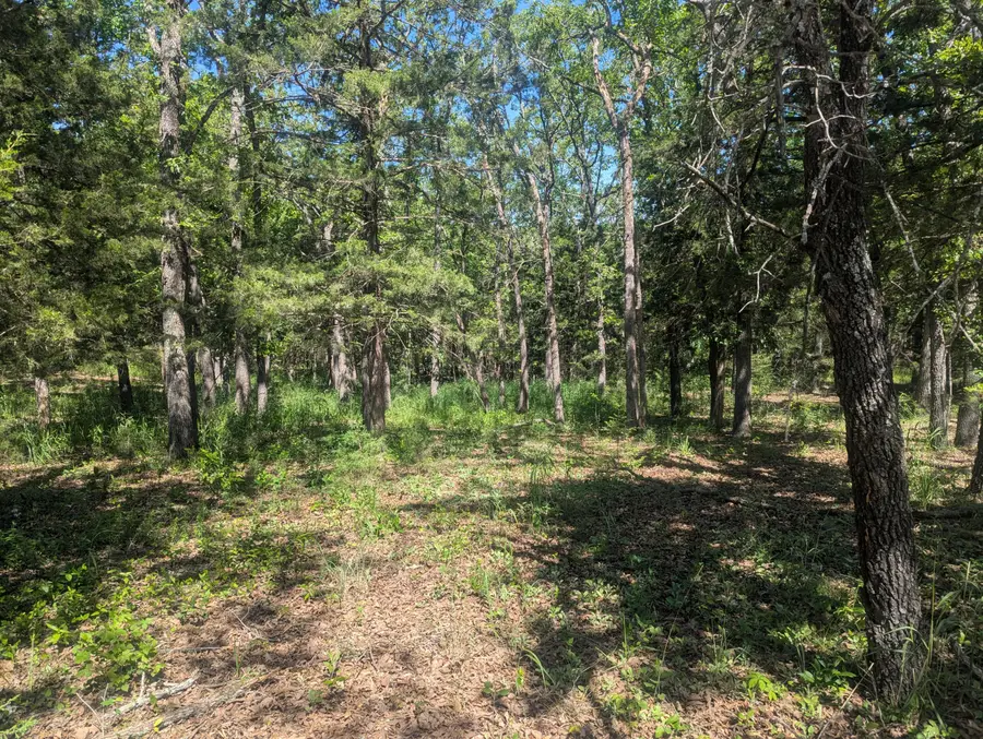 000 Cedar Haven Circle, Pittsburg, MO 65724 - #3