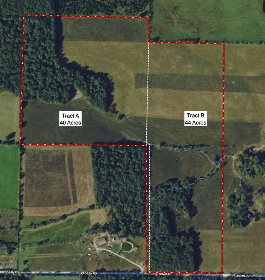 000 Tract B Logan Road, Hartville, MO 65667 - #2