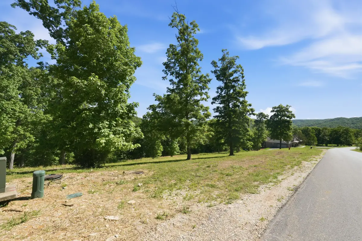 115a,117 Valley Drive, Saddlebrooke, MO 65630 - #1