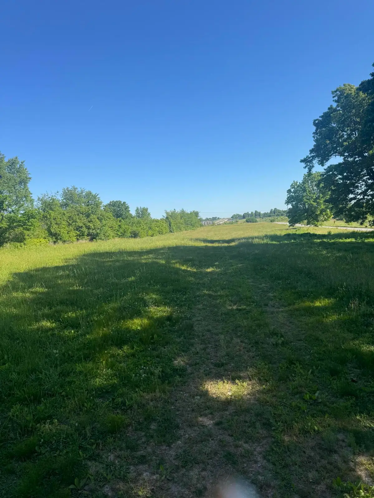5849 Selmore Road, Ozark, MO 65721 - #1
