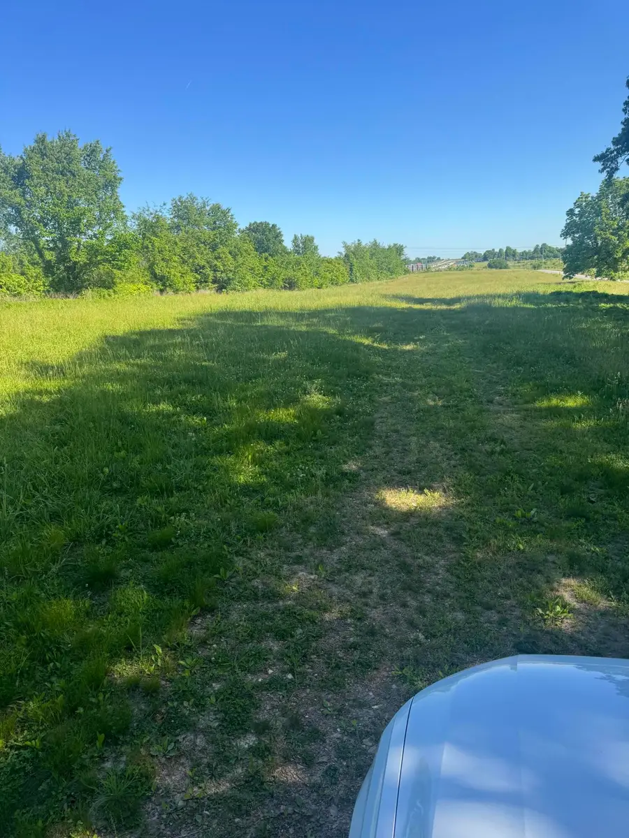 5849 Selmore Road, Ozark, MO 65721 - #2