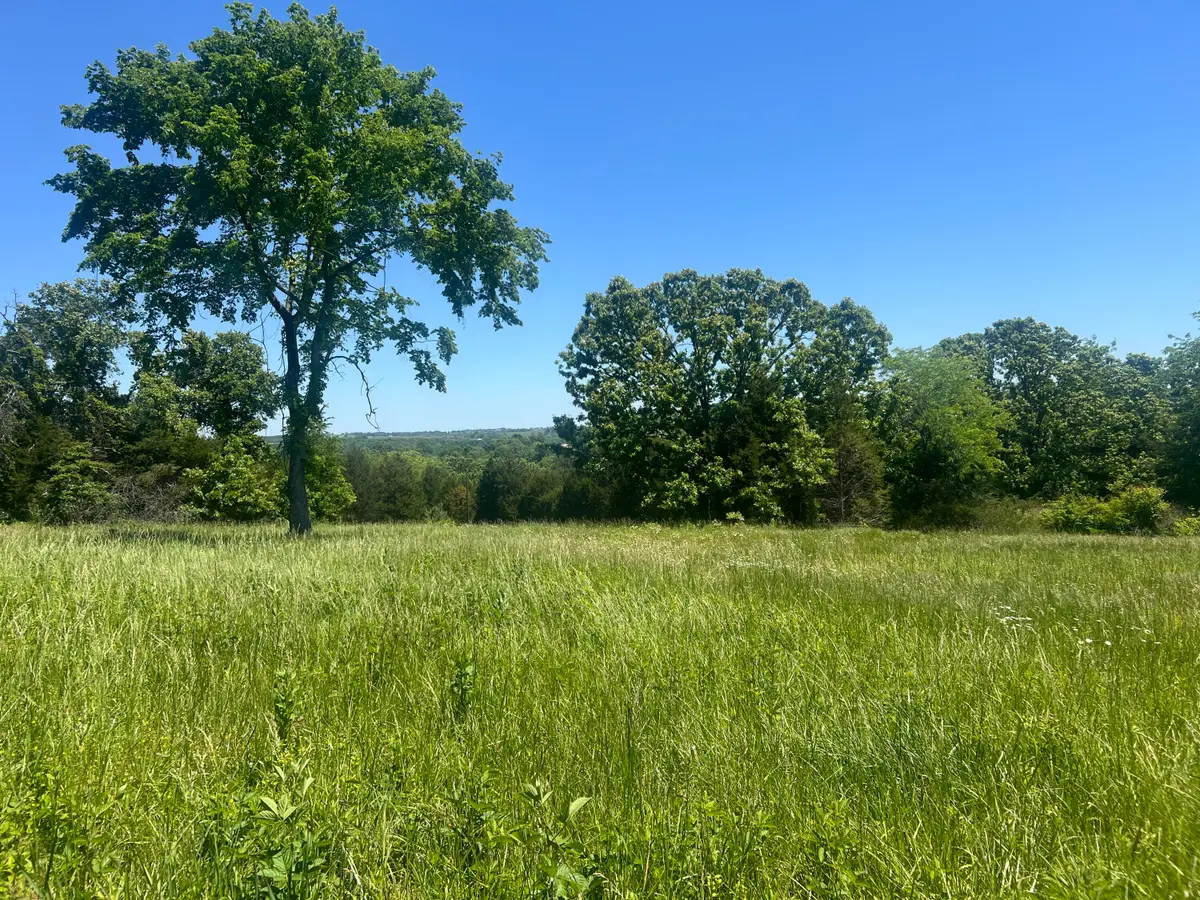 000 Greentree Road, Mountain Grove, MO 65711 - #1