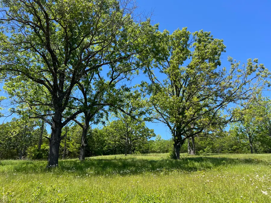 000 Greentree Road, Mountain Grove, MO 65711 - #2