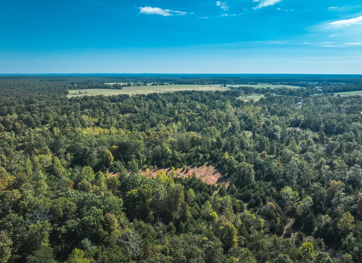 Lot 2 State Route J, Newburg, MO 65550 - #1