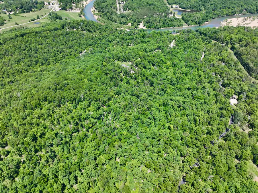 000 Bass Rock Lot 3 Drive, Van Buren, MO 63965 - #2