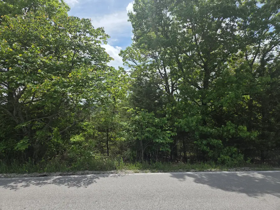 107 Black Forest Lane, Reeds Spring, MO 65737 - #3