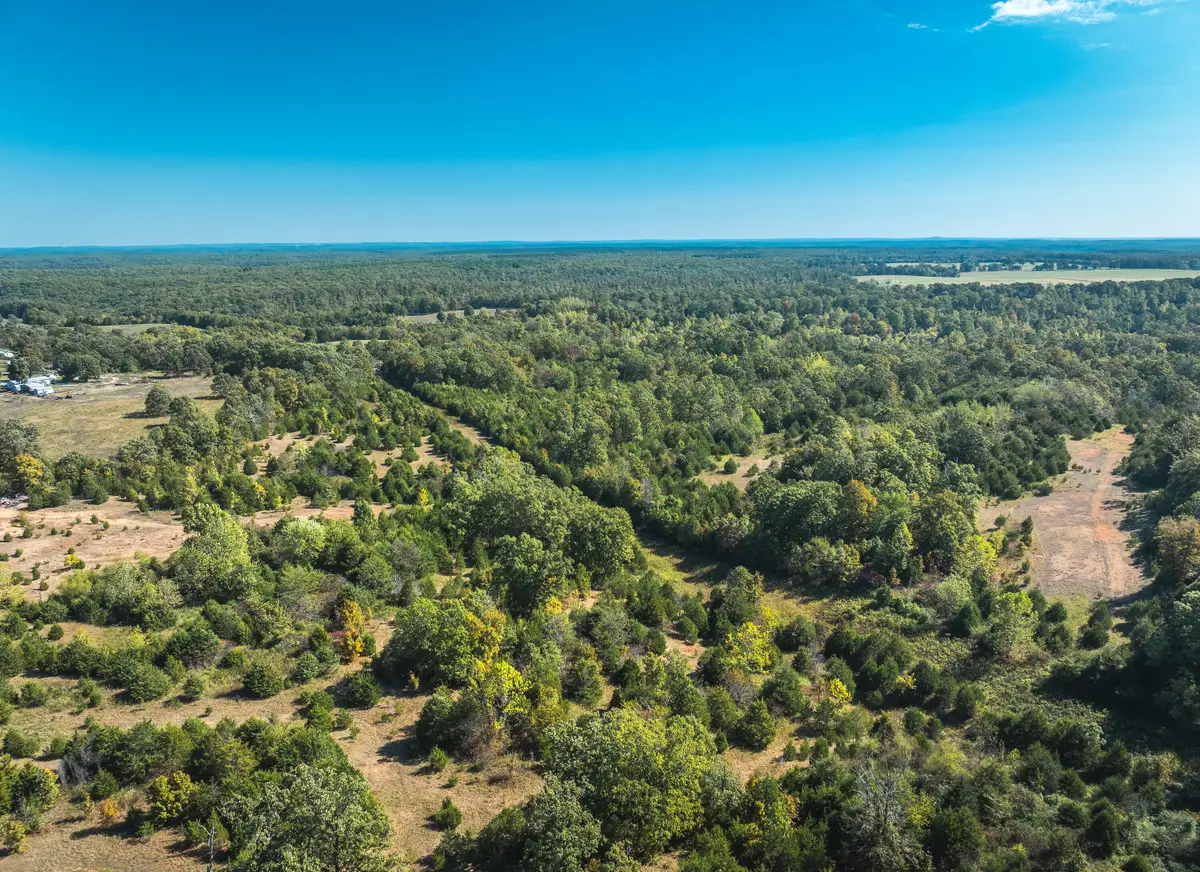 Lot 4 Clementine Outer Road, Newburg, MO 65550 - #1