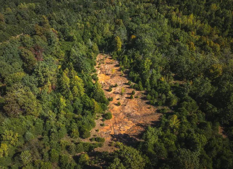 Lot 4 Clementine Outer Road, Newburg, MO 65550 - #2