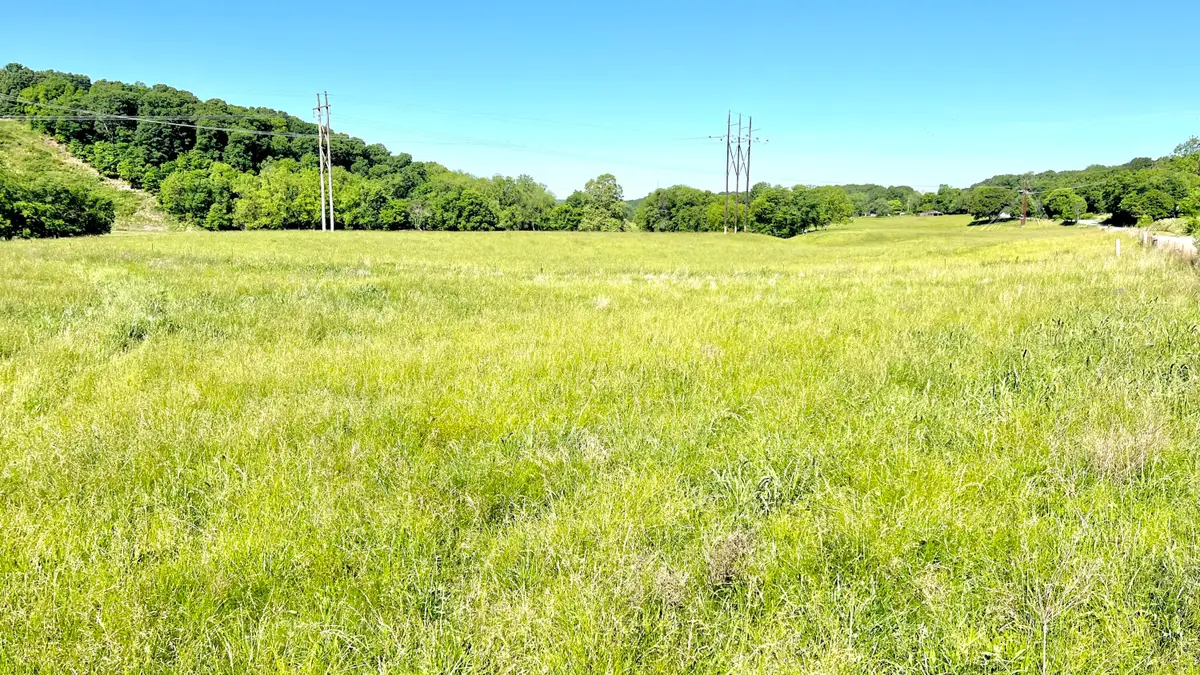 354 Thief Hollow Road, Anderson, MO 64831 - #1