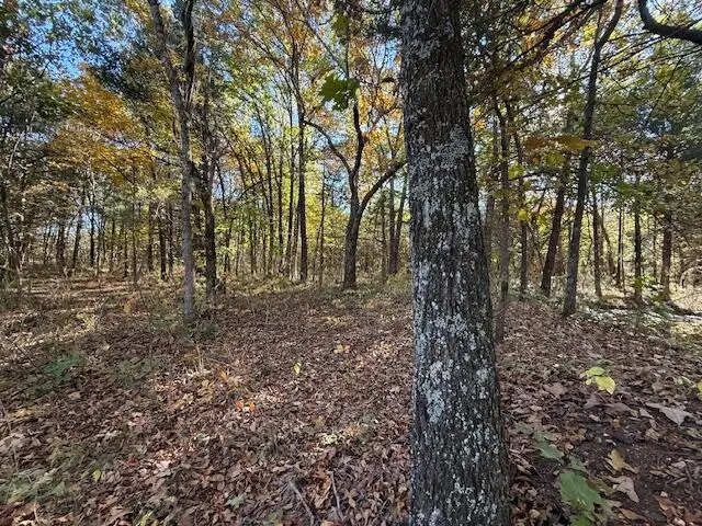 25+/-Acres S 90th Road, Flemington, MO 65650 - #2