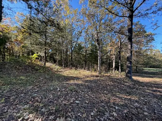 25+/-Acres S 90th Road, Flemington, MO 65650 - #3