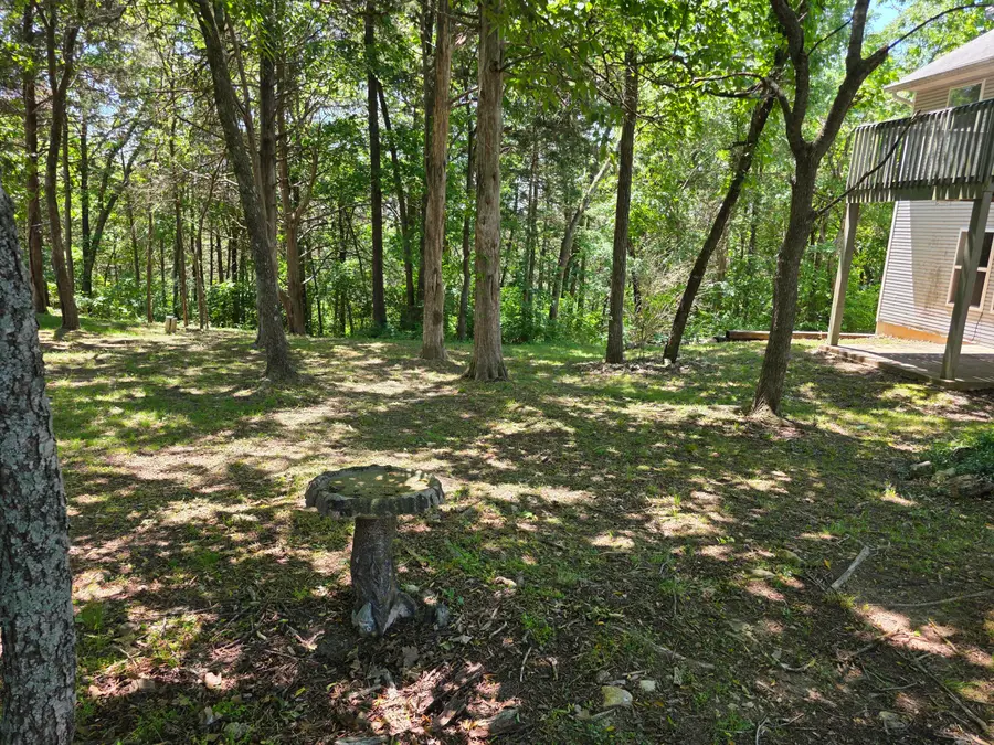 245 Pickett Ridge, Kirbyville, MO 65679 - #3