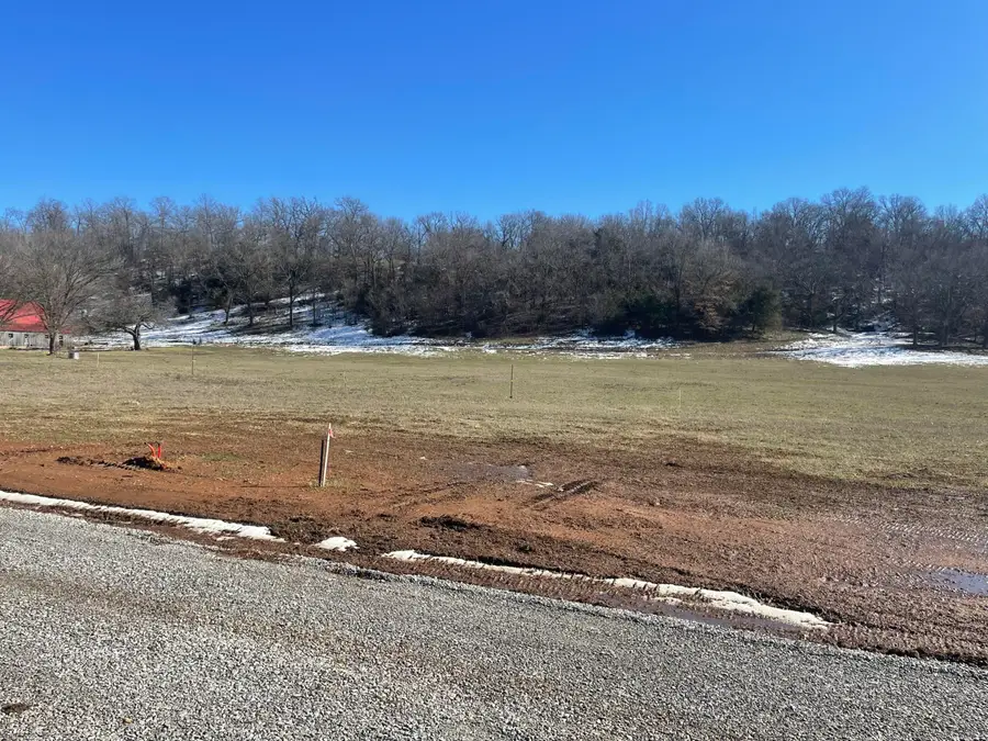 Lot 11 Cottage Brook Circle, Anderson, MO 64831 - #2