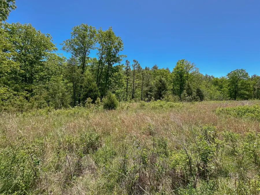 000 State Highway Z, Willow Springs, MO 65793 - #2