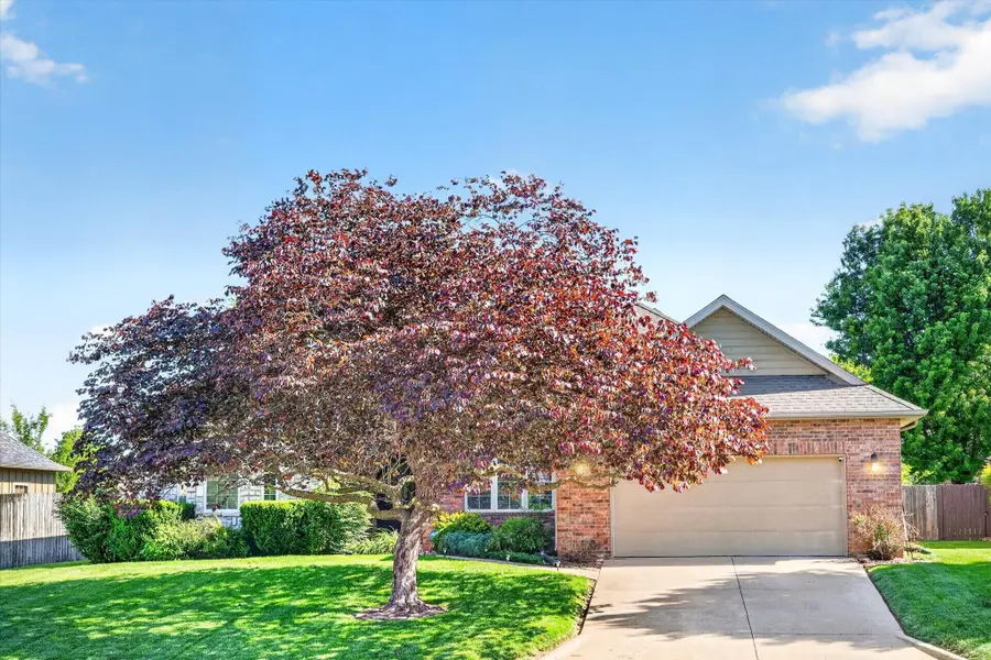709 E Shore Line Drive, Ozark, MO 65721 - #3