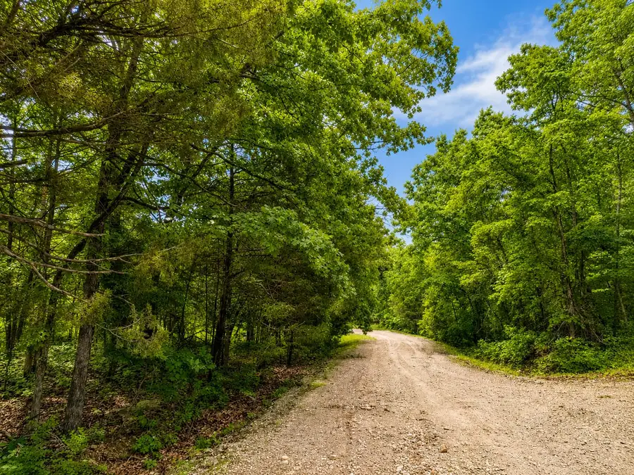 Address Withheld By Seller, Merriam Woods, MO 65740 - #2