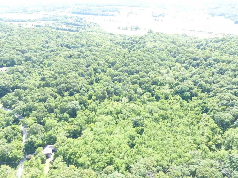 10961 Moose Drive, Neosho, MO 64850 - #2