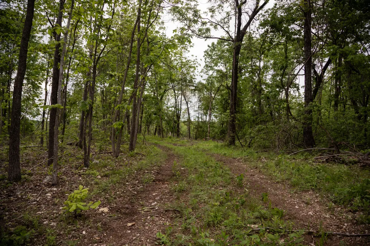 000 State Highway Y, Myrtle, MO 65778 - #1