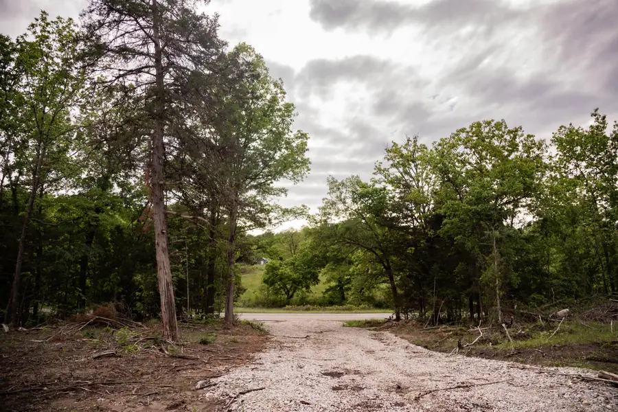 000 State Highway Y, Myrtle, MO 65778 - #2