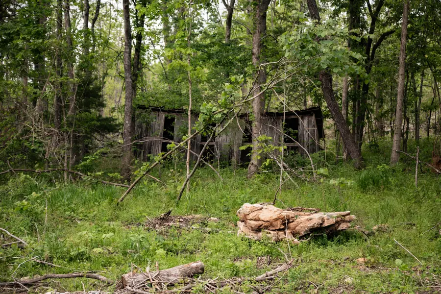 000 State Highway Y, Myrtle, MO 65778 - #3