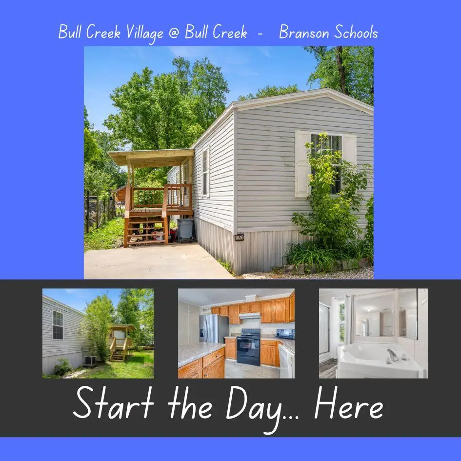 161 Ashland Drive, Branson, MO 65616 - #1