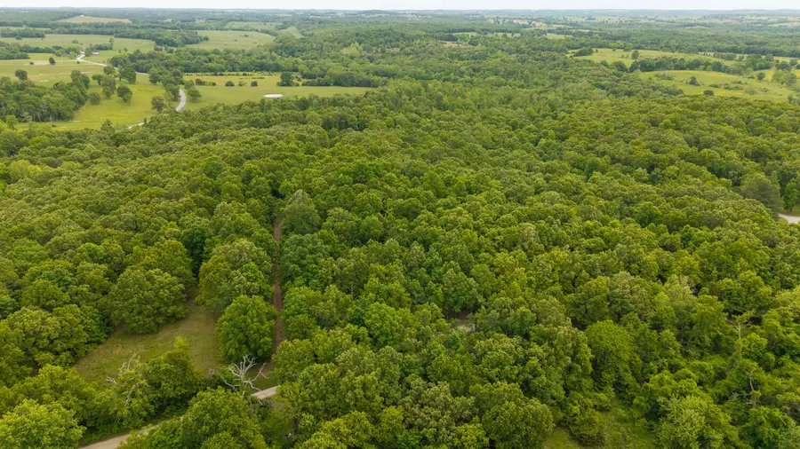14782 County Road 7990, Bakersfield, MO 65609 - #3